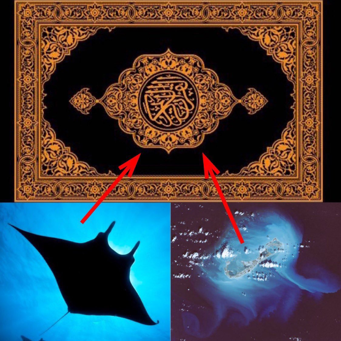 AllahInSunday's tweet image. حي على الجهاد - لن تطهر قدسية البيت والقرآن إلا بحرب من الله ورسوله - فلنعد العدة لها قتلاً لهم على مافعلوا بقدسيتها ومافي بيوتنا من فرش وسرر وزخرفاً ( آل سعود - الشيعة - الصهاينة - والبقية ..... ) فلنغير باليد واللسان والقلب ) وإن تنصروا الله ينصركم فلا غالب لكم .