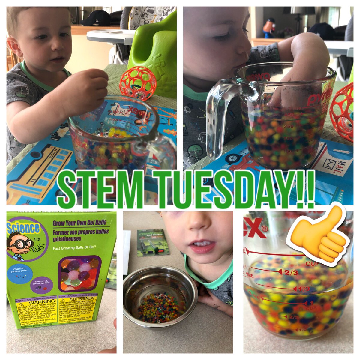 elgmarshall's tweet image. Science fun with my eldest! He is fascinated with water beads! #hoursoffun #polymerscience #scssummerfun