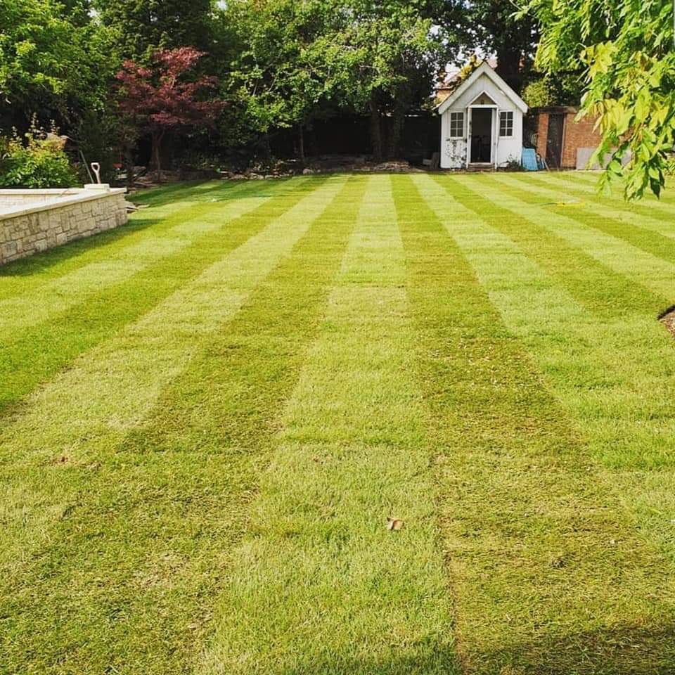 lawncaredoctor's tweet photo. Lawn Care Doctors... making the gardens of Leicestershire GREEN again!👨🏽‍⚕️ 💚

#lawncare #garden #newlawn #turfing #stripes #leicestershire https://t.co/NnnlPoFjAQ