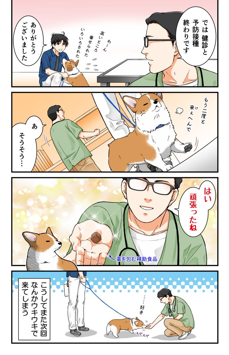 まるめ込まれる犬 