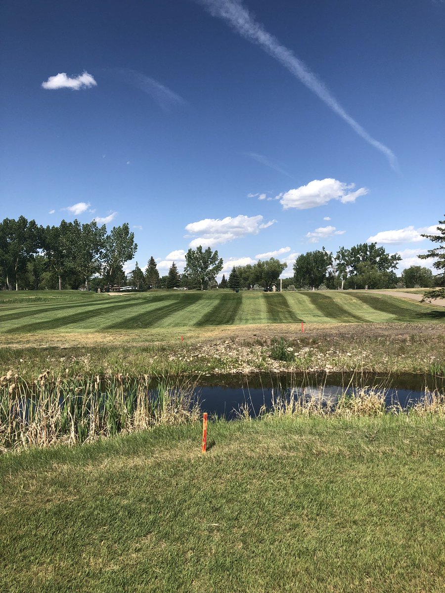 BrooksGC's tweet photo. Nothing prettier than fresh stripes in the rough, right @binhamish ?
Nice job Alvin! https://t.co/ZIu6vM7zrV