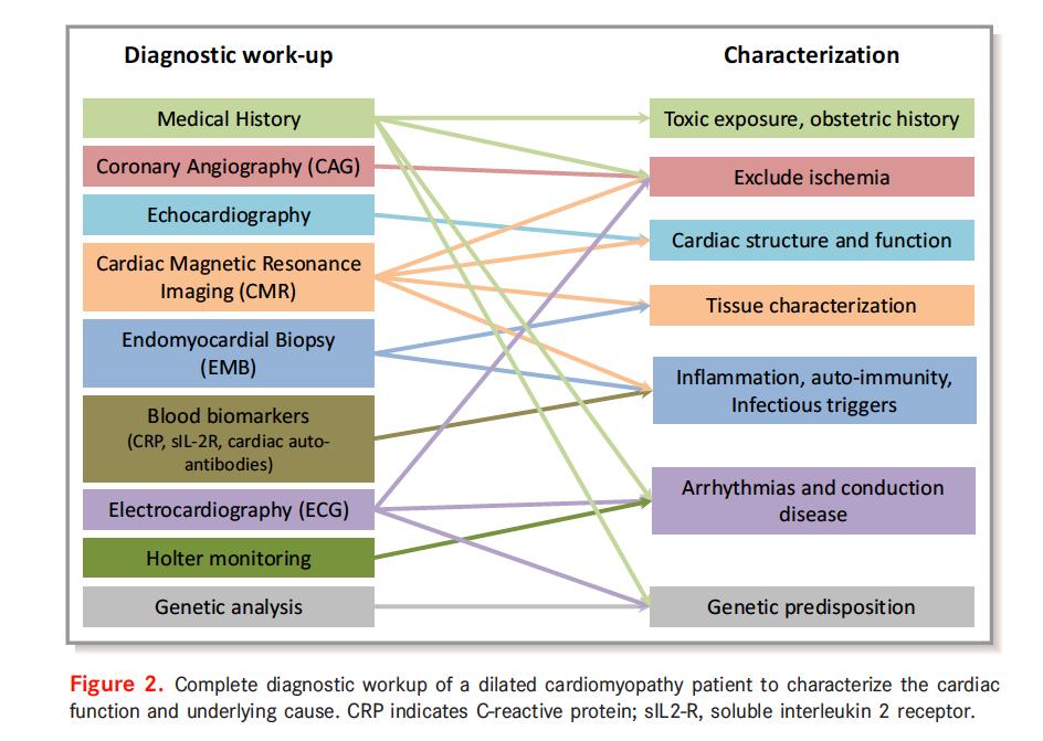 gonzaeperez's tweet image. METODOS DIAGNÓSTICOS EN MIOCARDIOPATIA DILATADA
Los más útiles por la información que proporcionan
-Historia clinica
-#ECGfirst
-#CMR
NO IMPORTA LA TECNOLOGÍA QUE APAREZCA, EL EXAMEN CLÍNICO Y EL ECG DA UNA INFORMACIÓN IRREMPLAZABLE. 
ahajournals.org/doi/10.1161/JA…