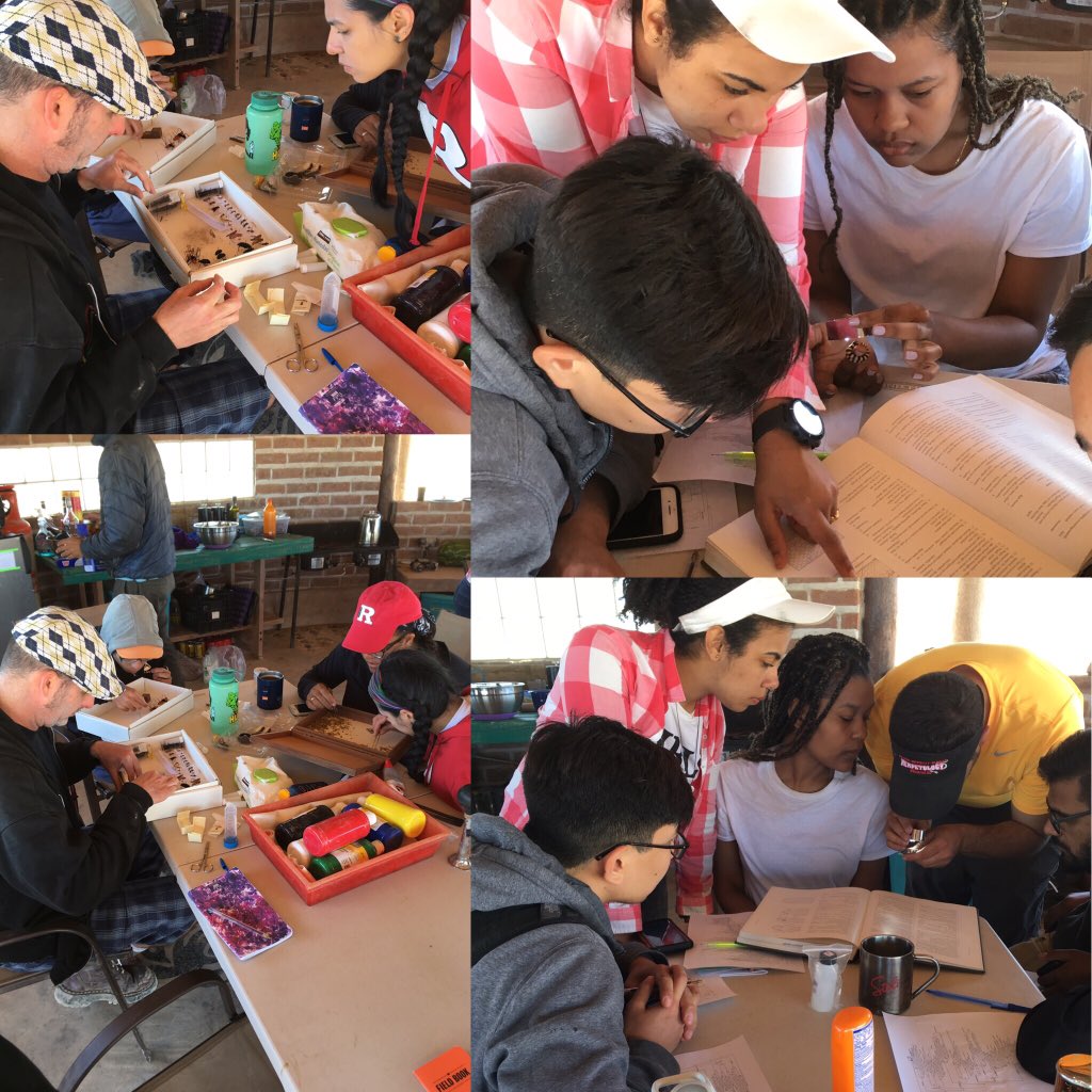 Sara Ruane on Twitter: