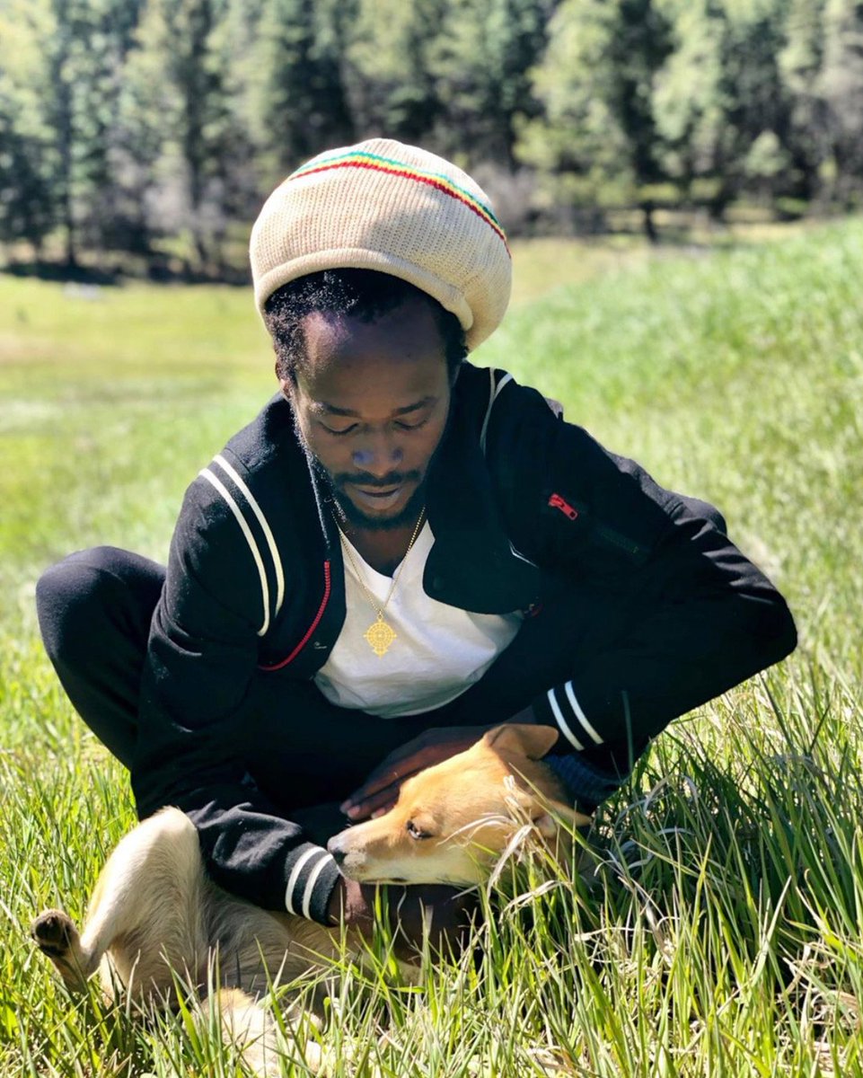 JesseRoyal1's tweet image. Spending sometime with Mother Nature on one of the off days on my #Springtour2019. What shows have you been or what show do you plan to attend??? Drop a comment below! #jesseroyal #tour #lionorder