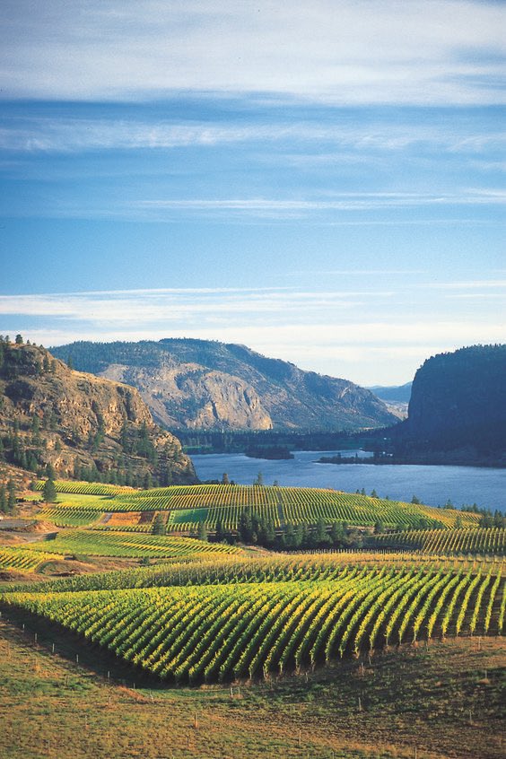 Cara Mia๐ท๐๐ปโโ๏ธ (@caramiasg) on Twitter photo Tonightโs #WiningHourChat is Maggieโs Choice: Wines of WA State. Join us at 9PM ET & share any #Washington #wine! ๐ฅ <a href="/winegal57/">winegal๐ท๐๐ป</a> <a href="/TheWiningHour/">Li Valentine</a> <a href="/suziday123/">Suzi Day</a> <a href="/jflorez/">Joe Florez</a> <a href="/magee333/">Laura</a> <a href="/SashaEats/">Sasha</a> <a href="/always5star/">Always5Star</a> <a href="/RickGriffin/">RickGriffinโ๏ธ</a> <a href="/RealWineGuru/">#Wine Guru๐ท</a> <a href="/RedWineCats/">Misty</a> <a href="/TalesoftheCork/">TalesoftheCork</a> <a href="/ccatmpt/">chris</a> <a href="/Dracaenawines/">Lori & Michael</a> Tonightโs #WiningHourChat is Maggieโs Choice: Wines of WA State. Join us at 9PM ET & share any #Washington #wine! ๐ฅ <a href="/winegal57/">winegal๐ท๐๐ป</a> <a href="/TheWiningHour/">Li Valentine</a> <a href="/suziday123/">Suzi Day</a> <a href="/jflorez/">Joe Florez</a> <a href="/magee333/">Laura</a> <a href="/SashaEats/">Sasha</a> <a href="/always5star/">Always5Star</a> <a href="/RickGriffin/">RickGriffinโ๏ธ</a> <a href="/RealWineGuru/">#Wine Guru๐ท</a> <a href="/RedWineCats/">Misty</a> <a href="/TalesoftheCork/">TalesoftheCork</a> <a href="/ccatmpt/">chris</a> <a href="/Dracaenawines/">Lori & Michael</a>