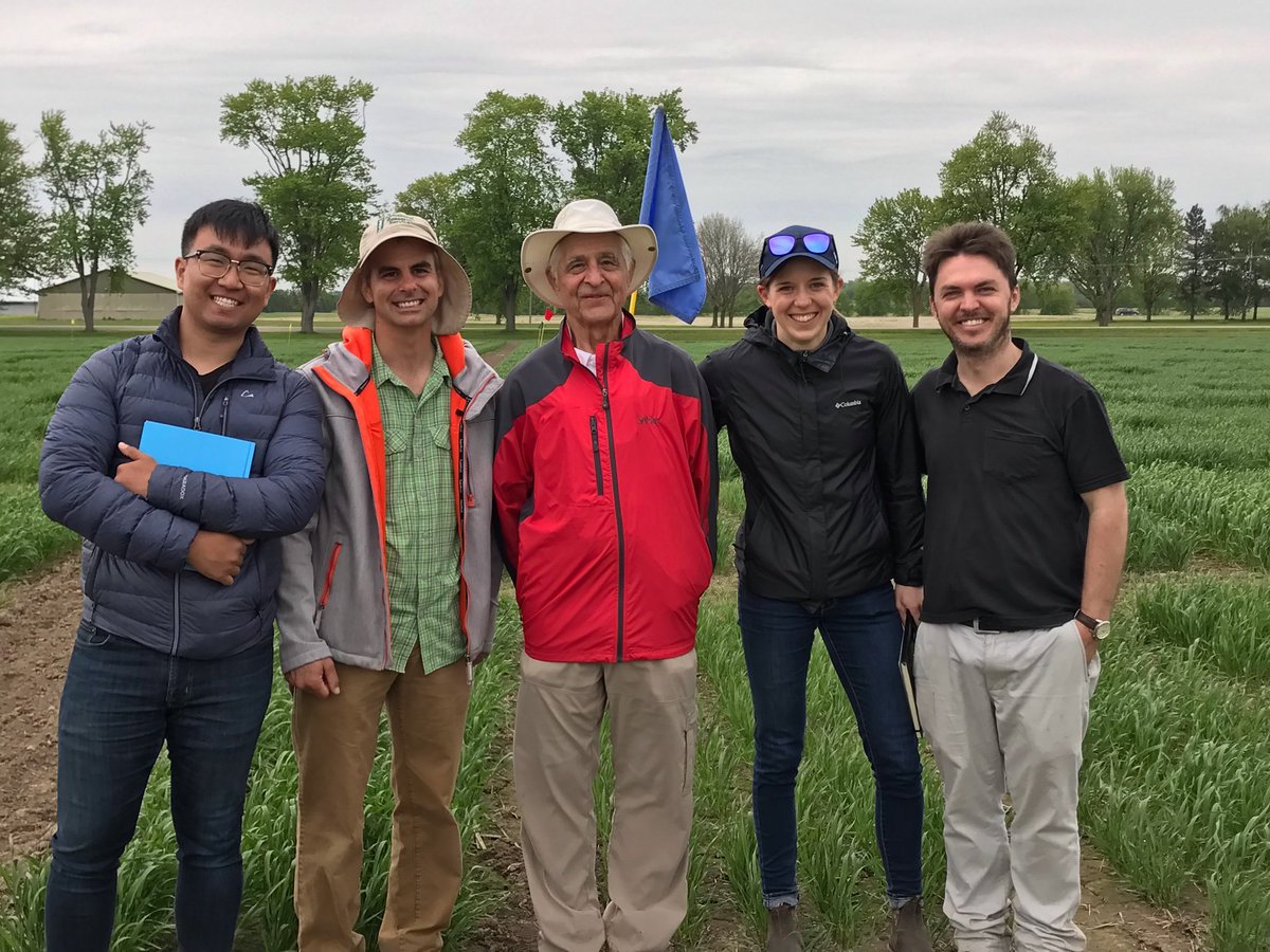 UofG Wheat Breeding tweet media