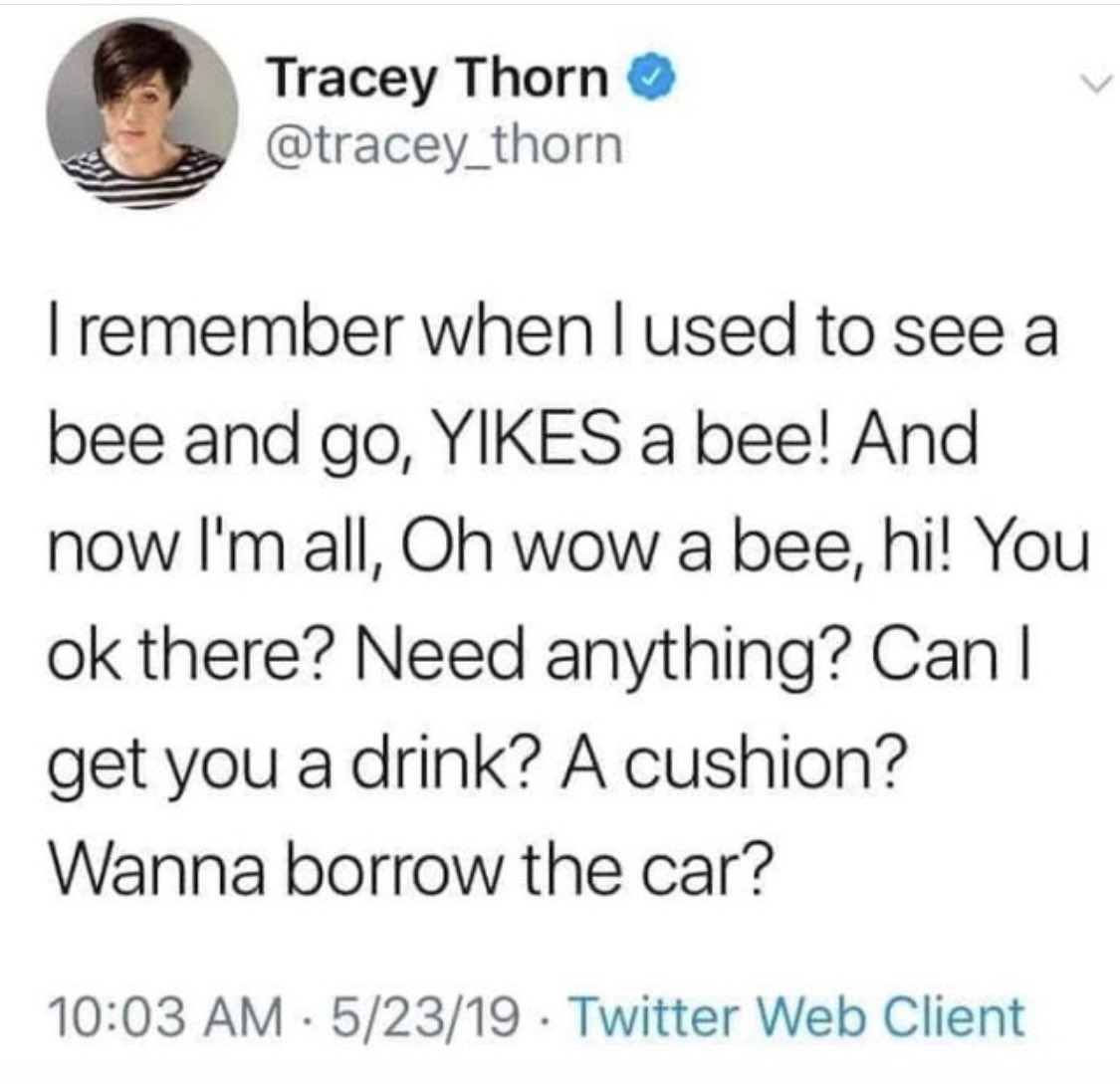 LaF3mm3Nikita's tweet photo. 😂🤣 I literally did this last week at the beach. I saved a drowning bee &amp; felt as though I contributed to the survival of the human race.
#itsfunnyyetitsnot #savethebees 
#nobeesnohumans https://t.co/dJhLA0d9pi