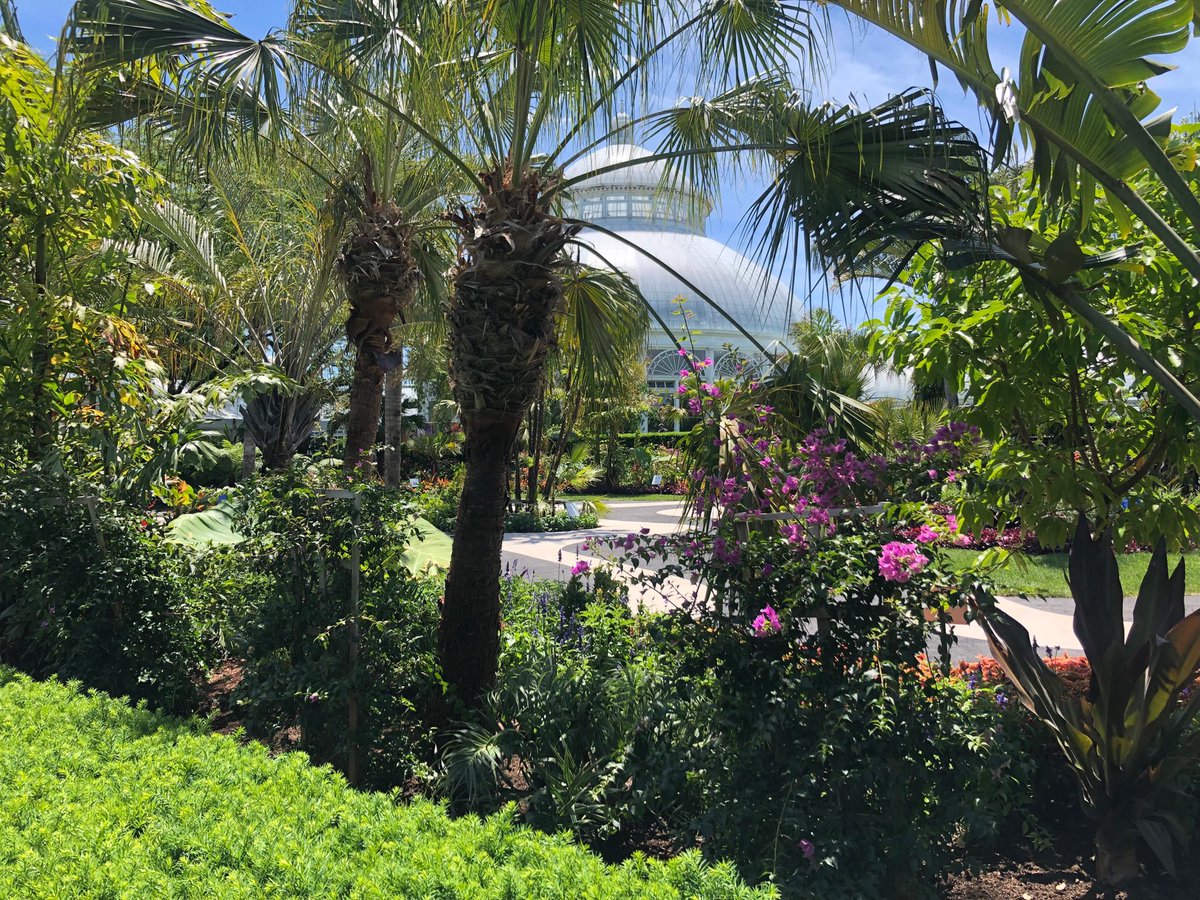 Brian Winter tweet media