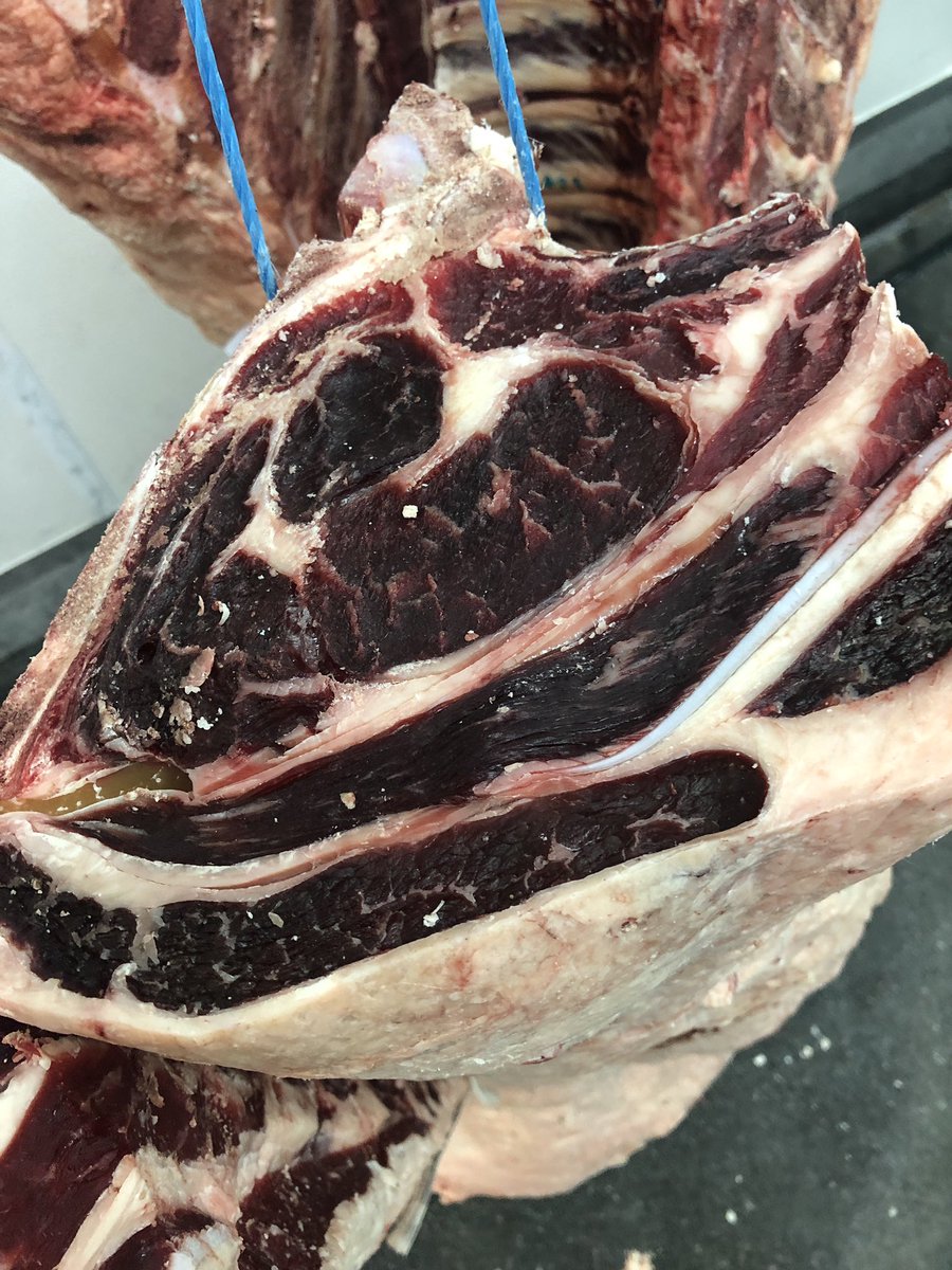 MacDuff1890's tweet photo. Some lovely aged Charolais scotch beef from the Taylors farm chosen for @THBurroughs for delivery this week #dryaged #marbling #ugrade #scotchbeef https://t.co/5v2fRDjXxq