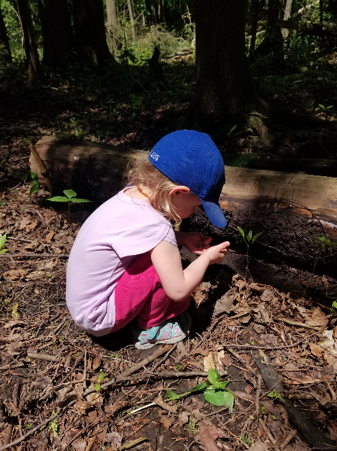2RiversFestival's tweet photo. Here are some more photos from "Nature in the City Scavenger Hunt" with @NatureGuelph this past Sunday, courtesy of Jackie, who had a wonderful time with her children! Thanks for the awesome #2RiversPhoto's! https://t.co/IMpTBgR2H2