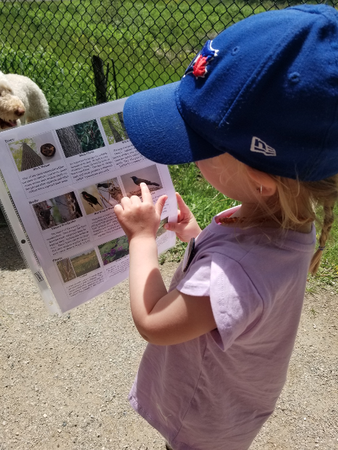 2RiversFestival's tweet photo. Here are some more photos from "Nature in the City Scavenger Hunt" with @NatureGuelph this past Sunday, courtesy of Jackie, who had a wonderful time with her children! Thanks for the awesome #2RiversPhoto's! https://t.co/IMpTBgR2H2