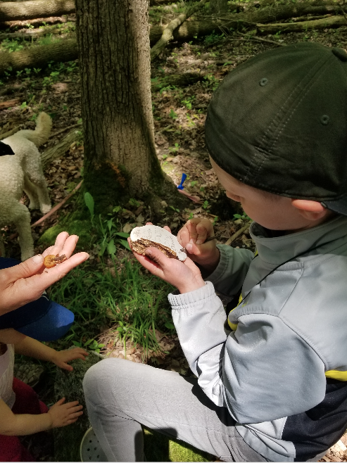 2RiversFestival's tweet photo. Here are some more photos from "Nature in the City Scavenger Hunt" with @NatureGuelph this past Sunday, courtesy of Jackie, who had a wonderful time with her children! Thanks for the awesome #2RiversPhoto's! https://t.co/IMpTBgR2H2