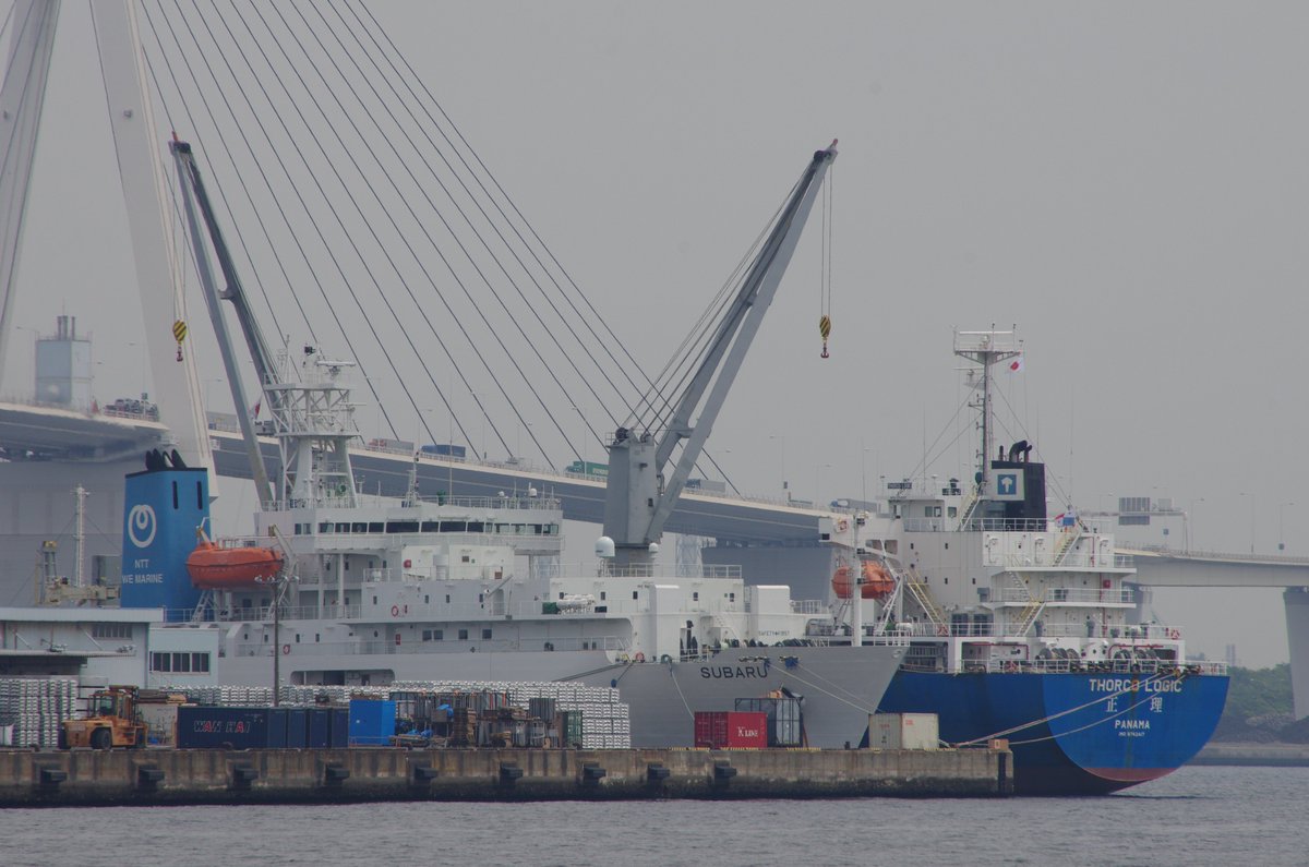 panamaru2's tweet photo. #SUBARU #IMO9188439 #CABLE_LAYER 9,557GRT B-1999 #NTT_World_Engineering and #THORCO_LOGIC #IMO9742417 #MULTIPURPOSE_CARGO_SHIP 13,110GRT B-2016 #Thorco_Shipping_Line 
#Daikoku_L4Berth
#THORCO_LOGIC の船尾には、正理と中国語の船名表記が見える。#shipsinpics June.01.2019. https://t.co/urweNpLanF