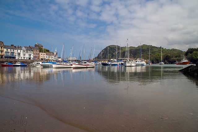 Happy #devonday from #ilfracombe #northdevon pic by @thatsallya