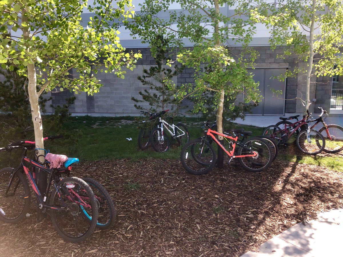 YYC Bike 2 School (yycbike2school) Twitter