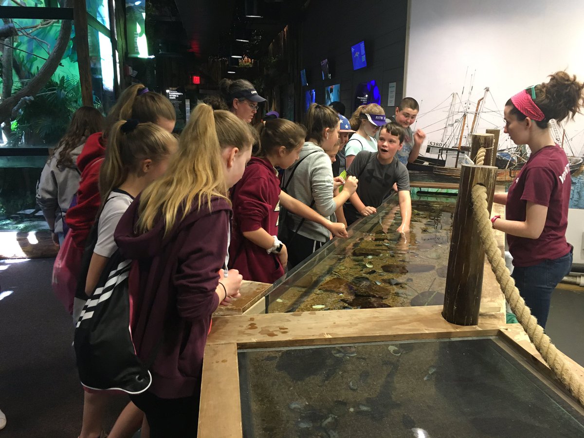 MrsWeiseFMS's tweet image. 6P - Awesome fun and educational exploration at Buttonwoods Park Zoo! #NMSLancerLead #NPSPride