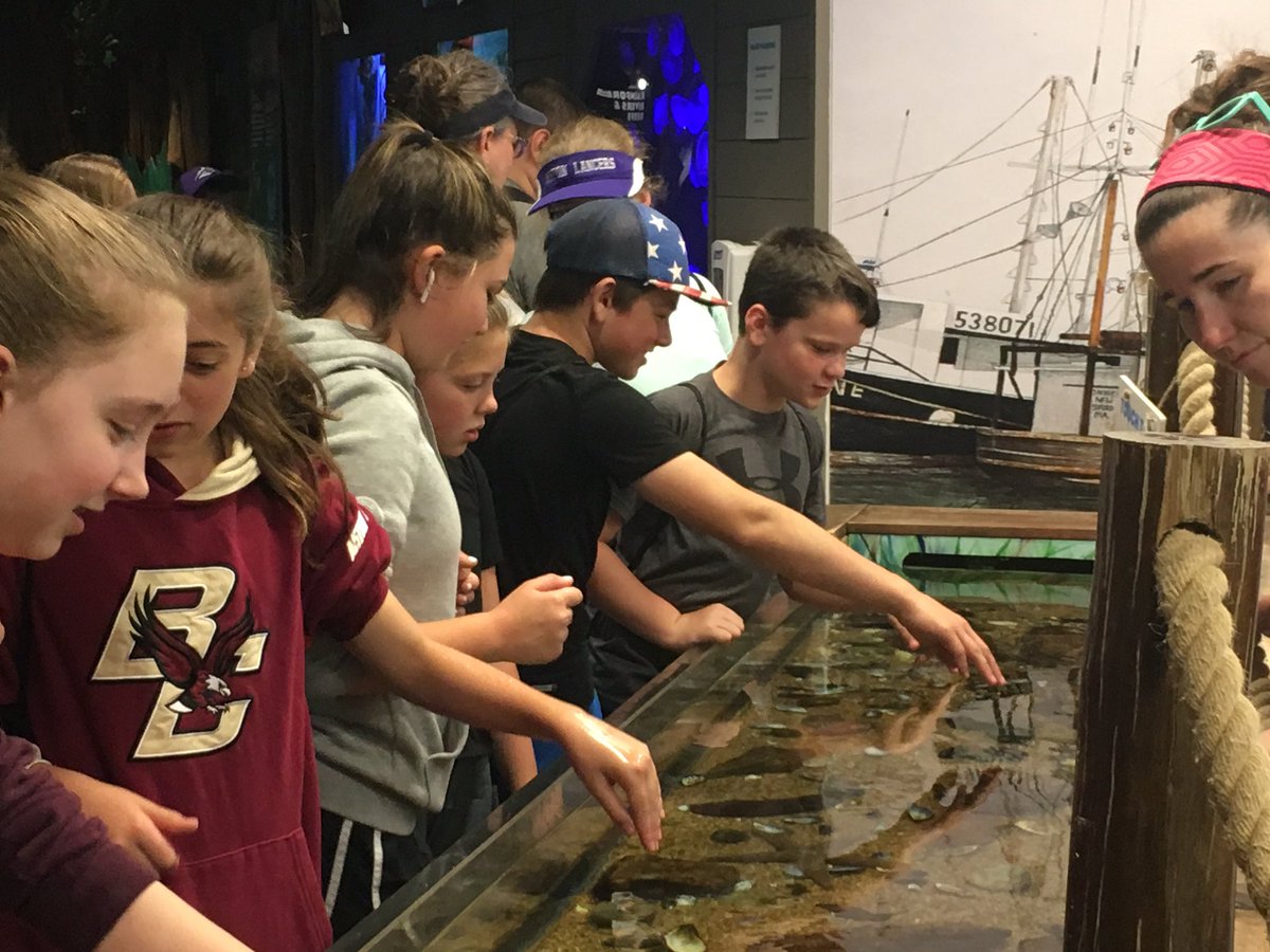 MrsWeiseFMS's tweet image. 6P - Awesome fun and educational exploration at Buttonwoods Park Zoo! #NMSLancerLead #NPSPride