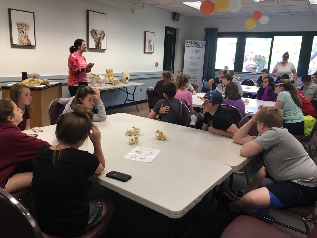 MrsWeiseFMS's tweet image. 6P - More Awesome fun and educational exploration at Buttonwoods Park Zoo! #NMSLancerLead #NPSPride