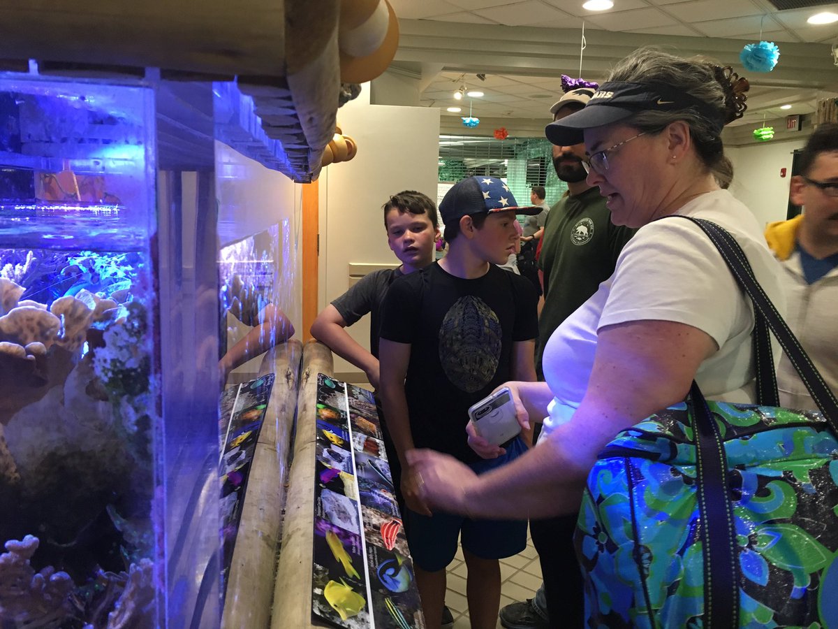 MrsWeiseFMS's tweet image. 6P - More Awesome fun and educational exploration at Buttonwoods Park Zoo! #NMSLancerLead #NPSPride