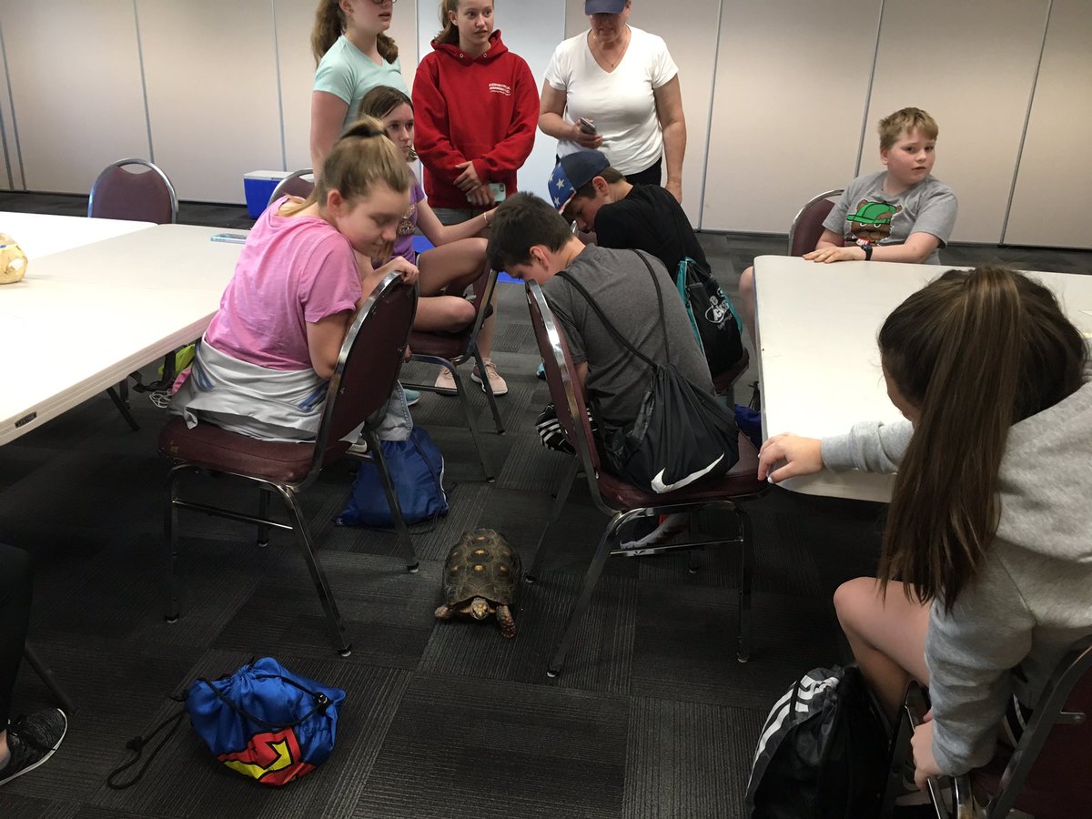 MrsWeiseFMS's tweet image. 6P - More Awesome fun and educational exploration at Buttonwoods Park Zoo! #NMSLancerLead #NPSPride