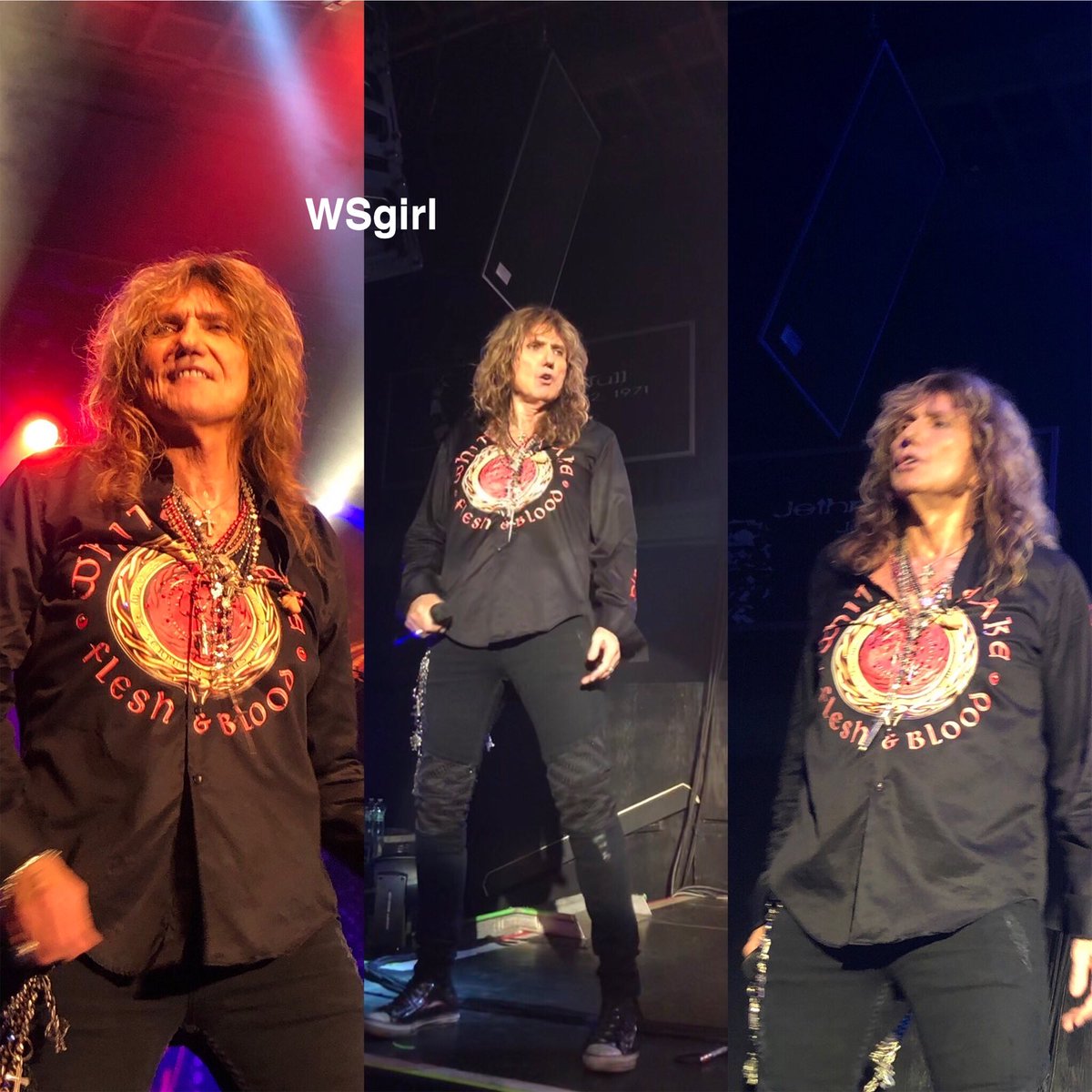 WSnakewoman's tweet photo. Always & Forever Whitesnake Flesh and Blood https://t.co/rYq8WkNYMN Awesome tune for the Tuesday! #WhitesnakeWithdrawals β₯οΈππβ₯οΈπ₯πΈπ€βοΈ https://t.co/XVpSFUgjHx
