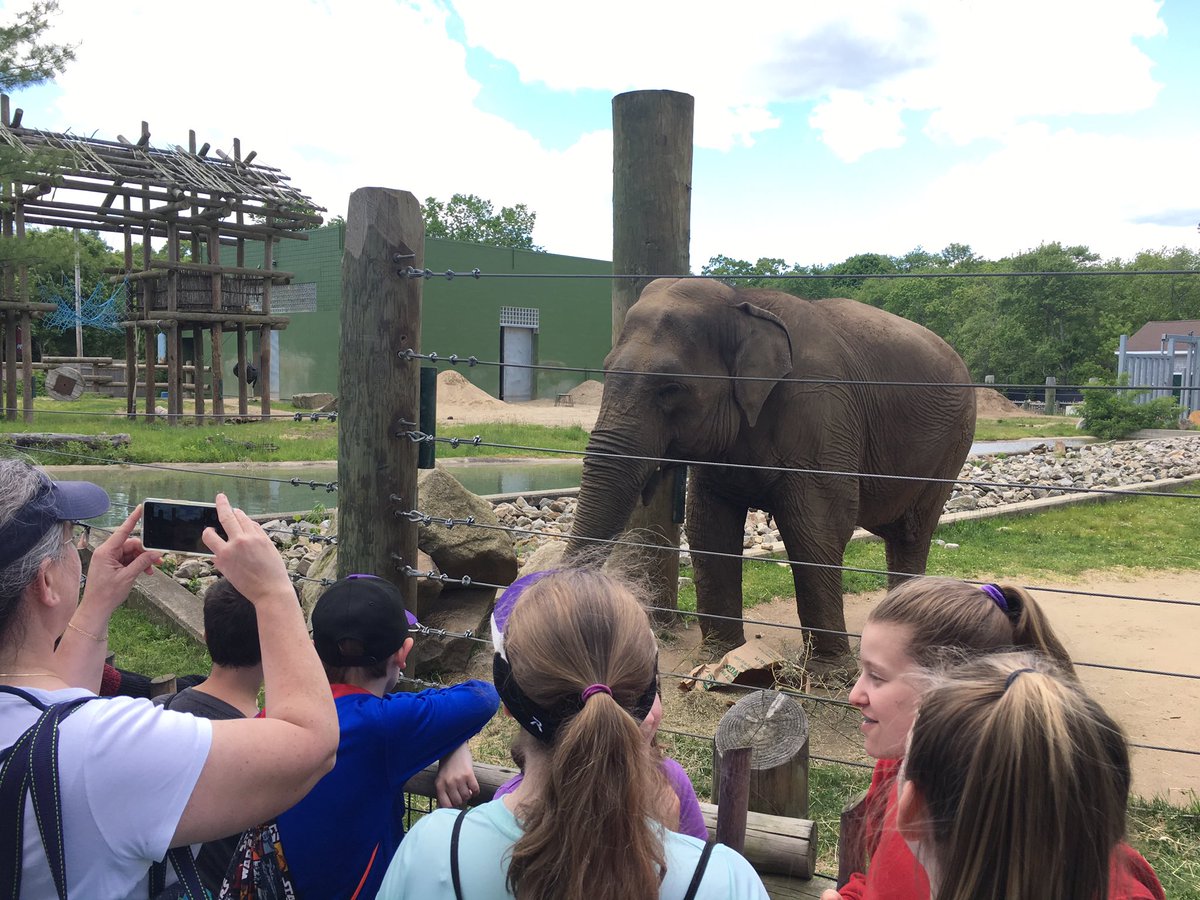 MrsWeiseFMS's tweet image. 6P - And more Awesome fun and educational exploration at Buttonwoods Park Zoo! #NMSLancerLead #NPSPride