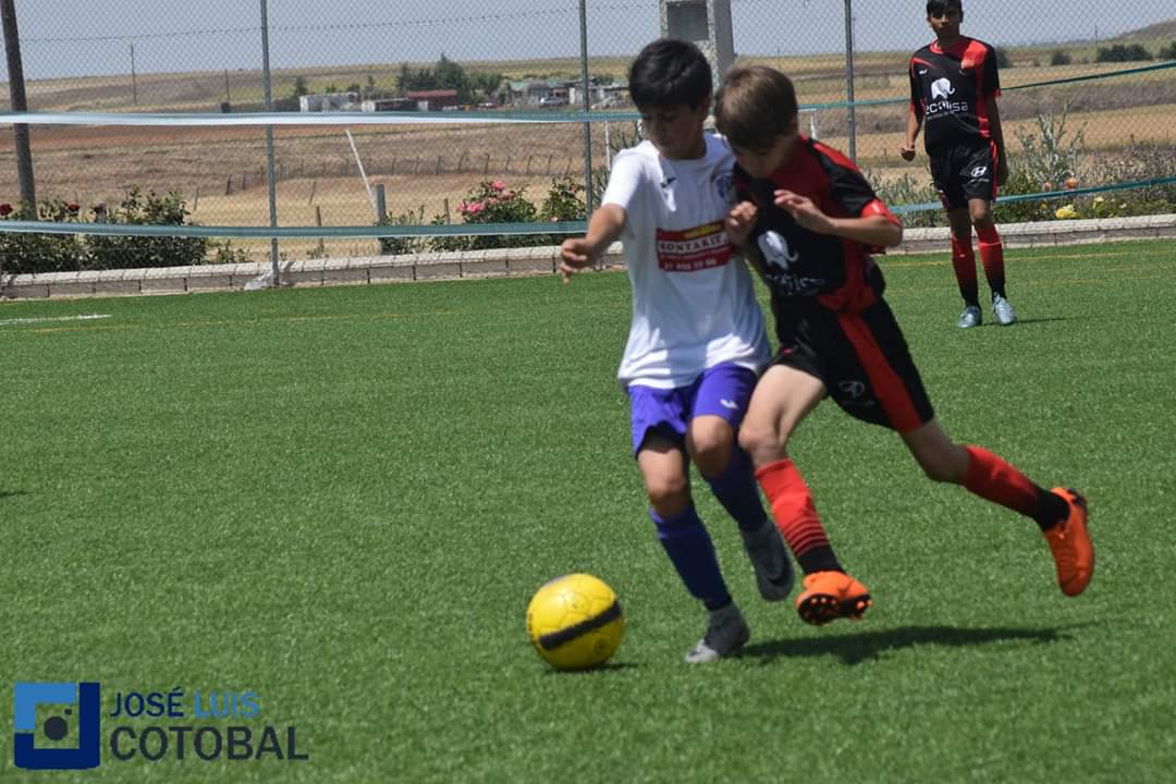 _joseluis_uscf's tweet photo. IMÁGENES | Galería de fotos del partido entre @adalhondiga76 2-0 @SportCarbajosa. Disfruta de las mejores imágenes del encuentro entre madrileños y charros. @EcotisaCUP #EcotisaCup @equipa2sport #NoLoDejesFueraDeJuego #MasQueFútbol

https://t.co/s6bJlEaDW6 https://t.co/rbATlh7mhK