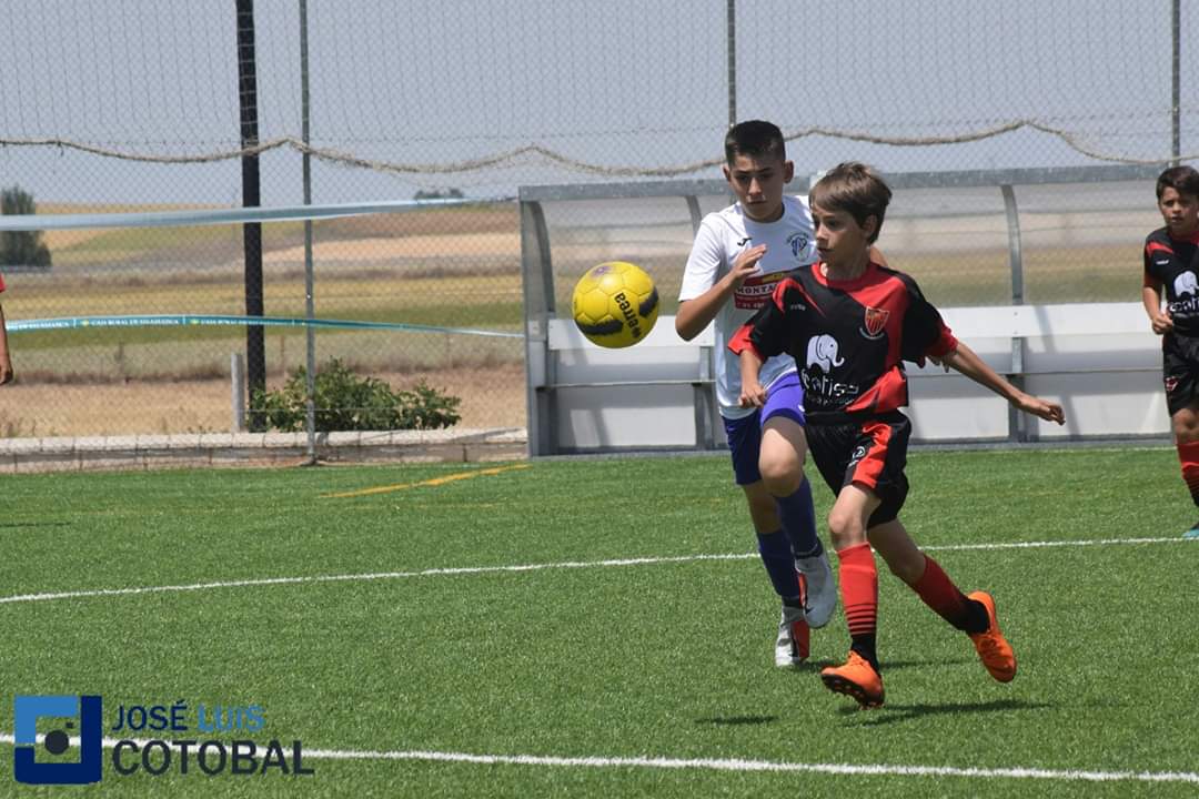 _joseluis_uscf's tweet photo. IMÁGENES | Galería de fotos del partido entre @adalhondiga76 2-0 @SportCarbajosa. Disfruta de las mejores imágenes del encuentro entre madrileños y charros. @EcotisaCUP #EcotisaCup @equipa2sport #NoLoDejesFueraDeJuego #MasQueFútbol

https://t.co/s6bJlEaDW6 https://t.co/rbATlh7mhK