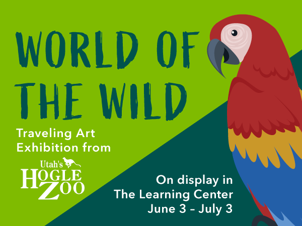 DGchildmuseum's tweet photo. Come check out World of the Wild Art Exhibition in the learning center! You can visit between now and July 3rd for FREE and see your favorite animals depicted in their natural habitats! 🐯 
#art #worldofthewild #freeevents https://t.co/a8XHegFmyk