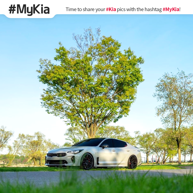 Strength meets style. #KiaStinger #MyKia 📸: @ny1stinger bit.ly/2xdykz0
