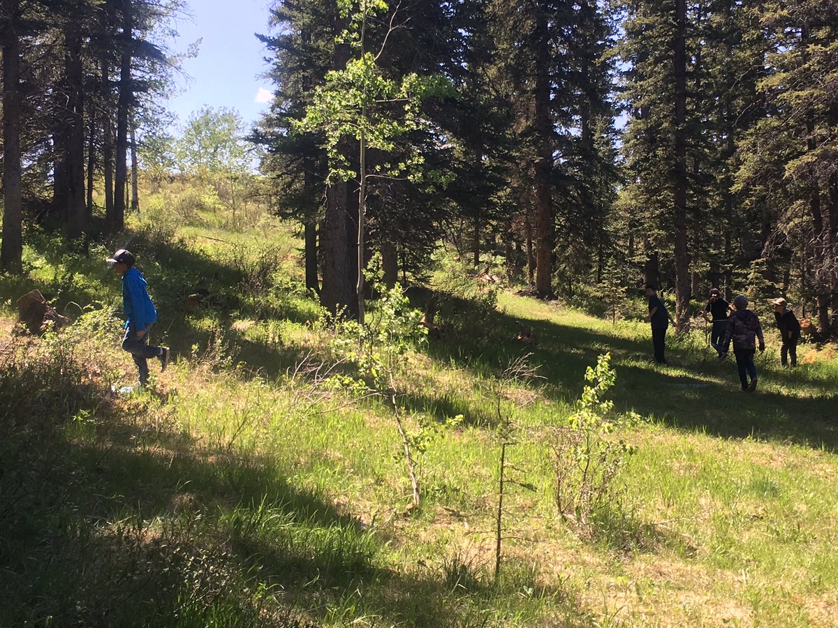Weather turning soon? Let’s get some sunshine in before that happens! ☀️🌲 #takemeoutside #landbasedlearning  <a href="/NakodaSchool/">Nakoda Elementary</a>
