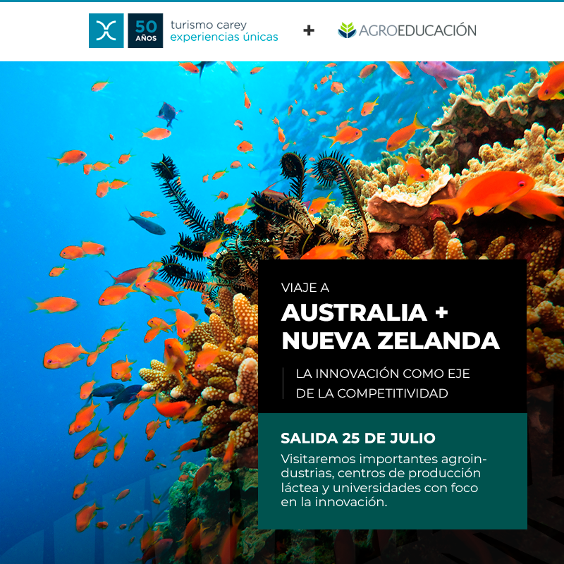 TurismoCarey's tweet photo. Turismo Carey y Agroeducación te invitan a ✈ Australia y Nueva Zelanda, dos países que lideran la productividad mundial. 😄 Visitaremos importantes agroindustrias, centros de producción láctea y universidades con foco en la innovación. Info 👉 https://t.co/LkB1FzWkH4 https://t.co/kgpBS9GEFk