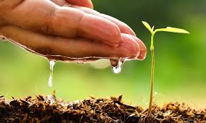 educacion_del's tweet photo. Cuidar el   #MedioAmbiente  #TareaVida#Cuba   #MedioAmbiente  #TareaVida es tarea de los educadores  crear hábitos y cultura en el cuidado y conservación de la  naturaleza. #Cuba, @CubaMined https://t.co/uCmm5mLbRY
