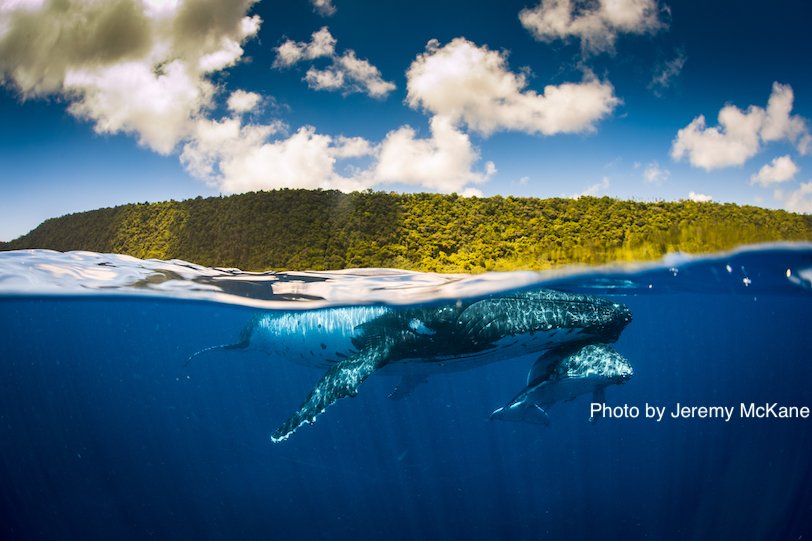 ExplorationInstitute tweet media