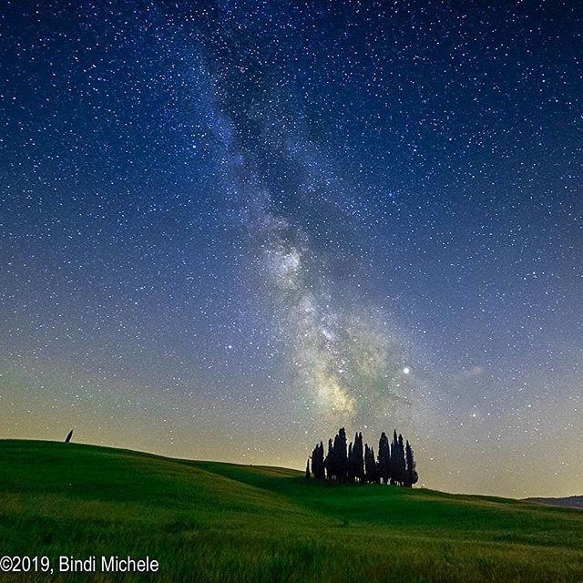 BindiMichele's tweet photo. Cipressi - Tuscany #photooftheday  #photoofday  #photography #photographer #cipressi #nikon  #foto #cool #amazing #TagsForLikes #beautiful #TFLers #fun #art  #artist #best #bestoftheday #night #orcia #art_bind #milkyway #tuscany #toscana #night #valdorci… https://t.co/8q43YZEGGI https://t.co/INrFeRcjZ2