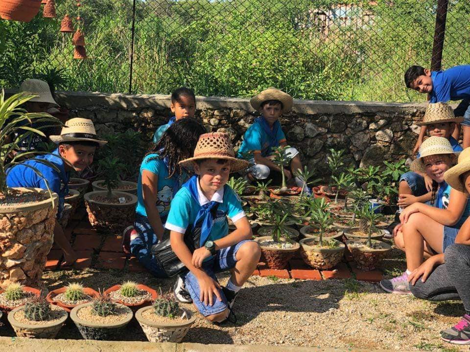 educacion_del's tweet photo. #MedioAmbiente  #TareaVida#Cuba   #MedioAmbiente  #TareaVida  Los niño en  #Cuba, trabajan por el cuidado y protección del Medio Ambiente asi lo evidencian los niños de la escuela Comendante Pinares de Habana del Este @CubaMined https://t.co/qbxwaslyE8