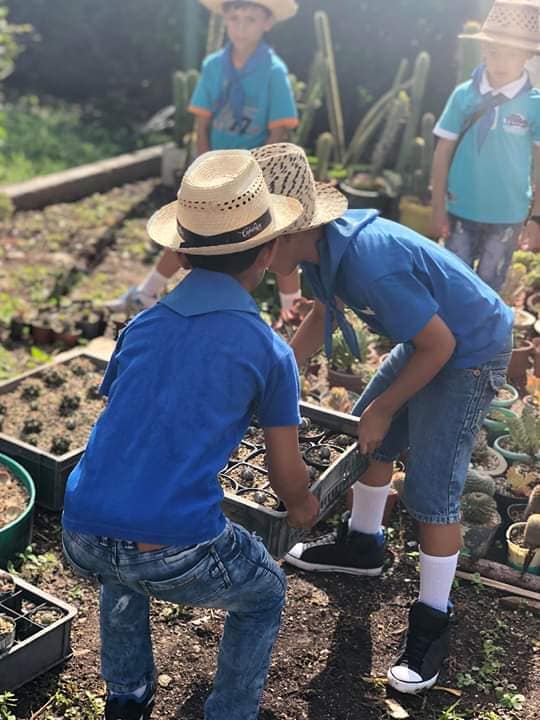 educacion_del's tweet photo. #MedioAmbiente  #TareaVida#Cuba   #MedioAmbiente  #TareaVida  Los niño en  #Cuba, trabajan por el cuidado y protección del Medio Ambiente asi lo evidencian los niños de la escuela Comendante Pinares de Habana del Este @CubaMined https://t.co/qbxwaslyE8