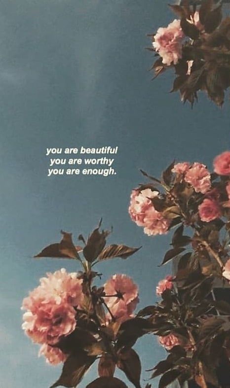 Amelia Rose Blaire Dechart Just In Case You Need A Reminder T Co Tf7kpbmfjz Twitter