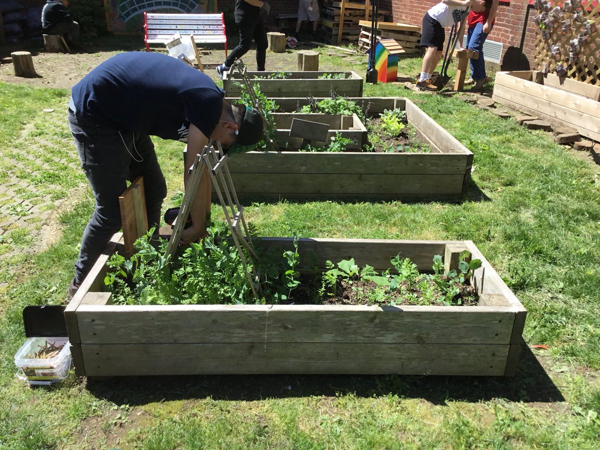 QuestionMarkMHS's tweet photo. Students from Mr. Sommer’s Tech 10 class returned to Hampton Street School to finish the beautification project they had begun a month ago. They planted a garden, created a compost heap, and created mulch paths.  They also made metal sculptures to decorate the garden. https://t.co/qrppzhZTZb