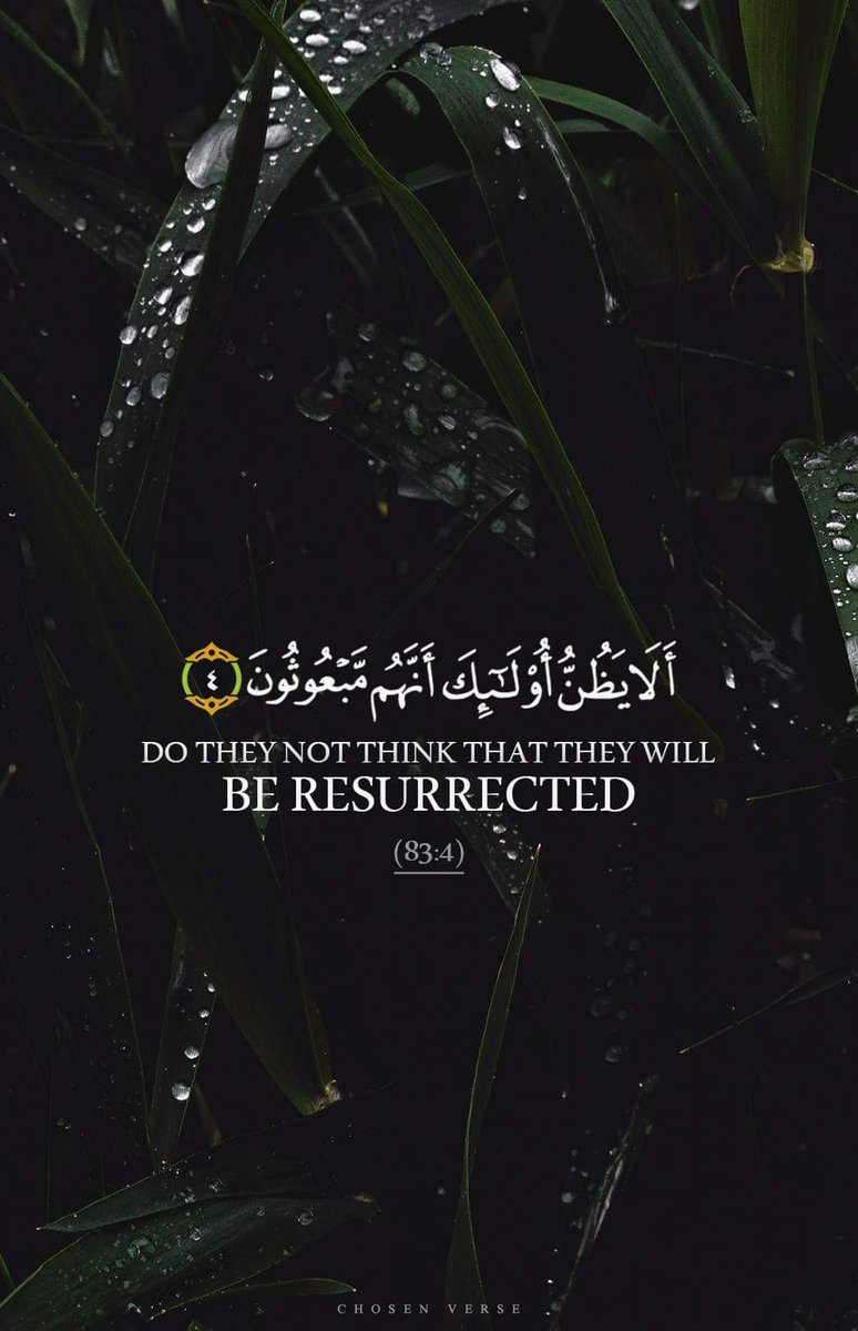 almoshaf_algame's tweet image. ريتويت بالخير يا صاحب الخير