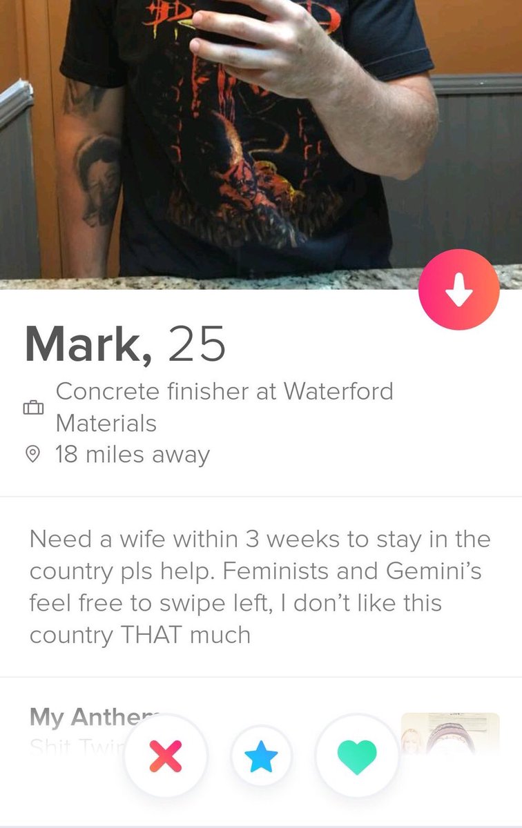 SheRatesDogs tweet media