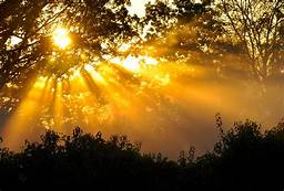 WoodsyAnimation's tweet photo. Keep your face always toward the #sunshine - and shadows will fall behind you. 
Walt Whitman
 #TuesdayThoughts #TuesdayMotivation https://t.co/hTHTyDqgEf