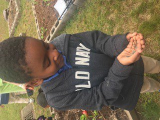 GoodwinGator's tweet photo. On Thursday May 30th Goodwin's students, parent's and teachers participated in a school Planting day.  Each class came out to plant their own vegetables or fruits.  It was a lovely day! https://t.co/VB8baczQaB