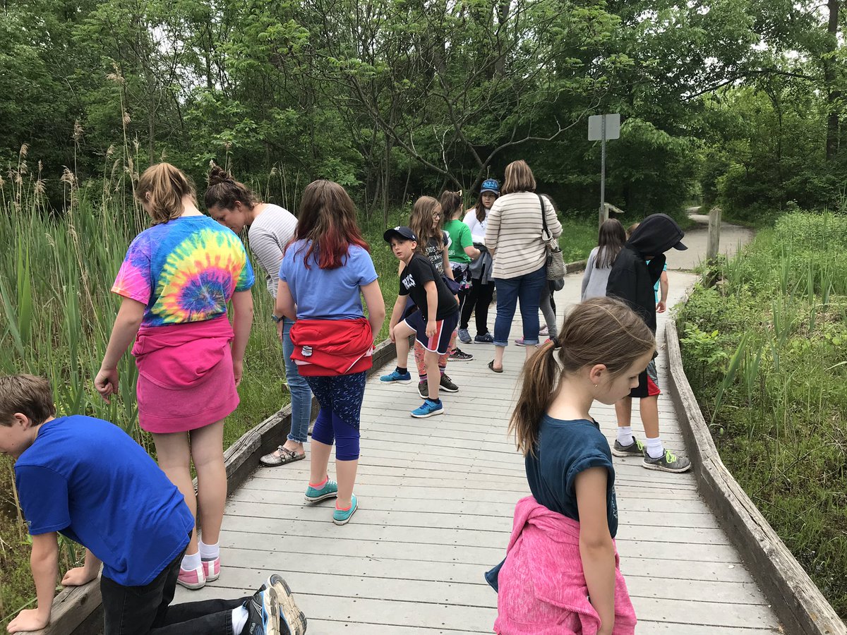 SuzukiPublic's tweet photo. Ojibway Park with our dedicated eco warriors! @DrDSuzukiSchool https://t.co/2yLyIBLXxI