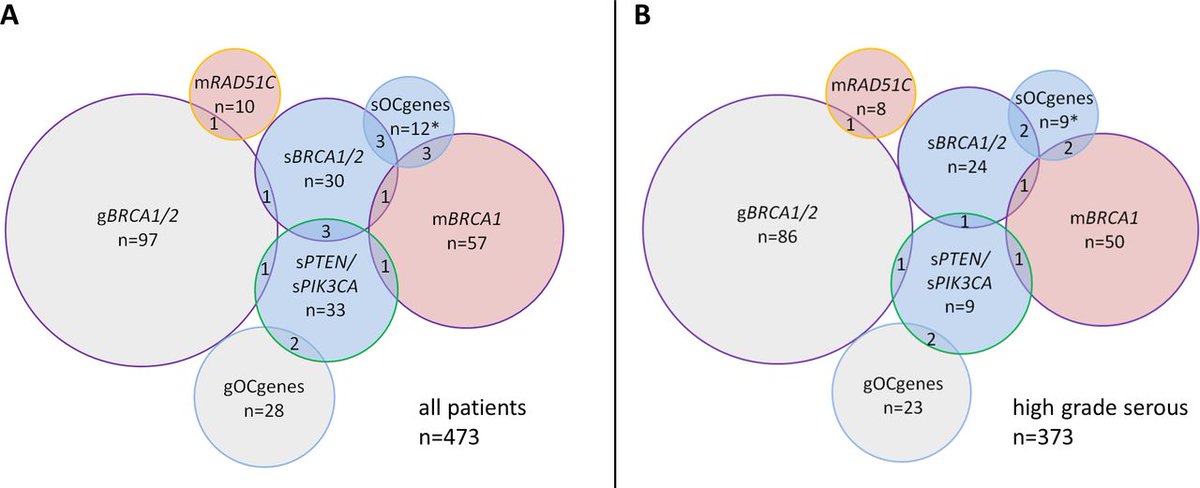 Deleterious somatic variants in 473 consecutive individuals with ovarian cancer: results of the observational AGO-TR1 study (NCT02222883) ow.ly/VHQi30oIMfd #somaticvariants #cancergenetics #ovariancancer