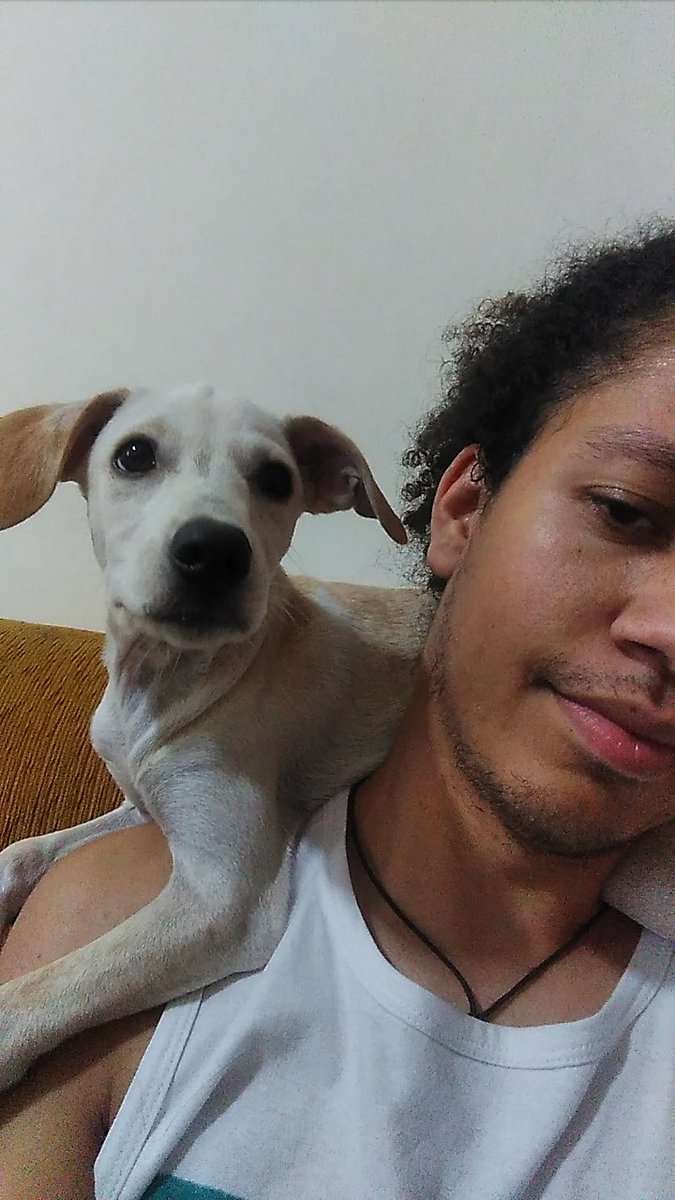 _impetus's tweet photo. @PedigreeBR Melhor capoeira que eu poderia querer 💙
 #DogBOTs #CompartilheOBem https://t.co/F8MoJpUszh