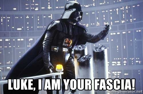 Happy Tuesday, everybody! 😜😆🤣