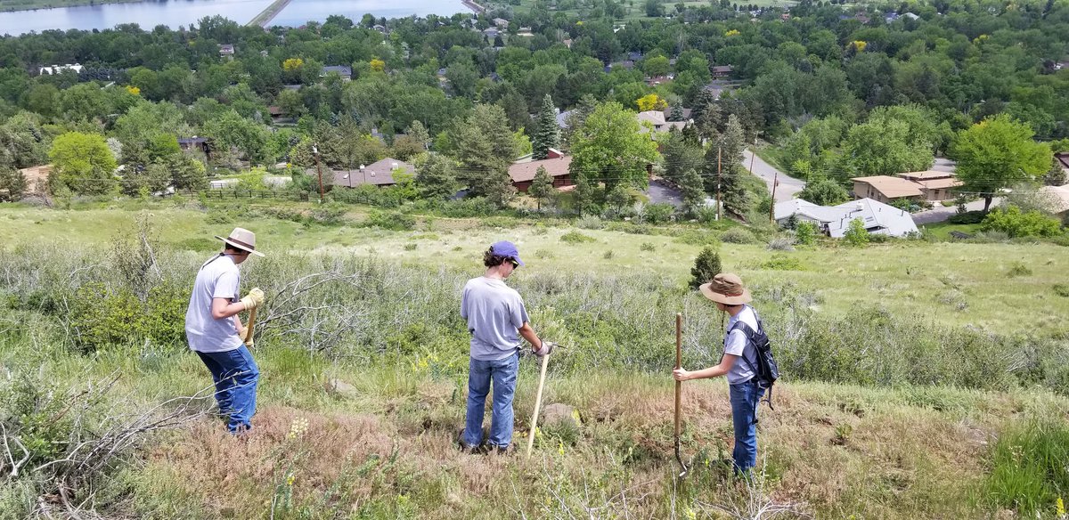 Day 1 Jeffco Open Space SWAP summer work experience <a href="/JeffcoSchoolsCo/">Jeffco Public Schools</a> <a href="/JeffcoOpenSpace/">Jeffco Parks & Open Space</a> @COJasonGlass <a href="/JCOSRangerDoty/">Justin</a> <a href="/JCOSRanger1/">Mary Ann</a> #learningbeyondtheclassroom #workexperience #jeffcoswap2019