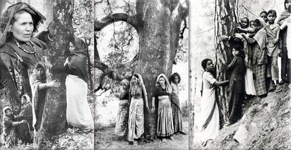 IndiaHistorypic's tweet image. 1970s :: Chipko Movement to Protect Trees #WorldEnvironmentDay