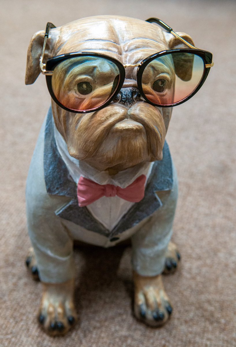 We have been trying out our new sunglasses, what do think #UptonHour